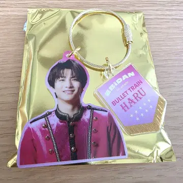 초특급 하루 에비라이 아크릴 키링