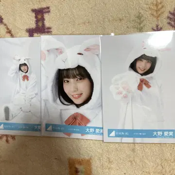 히나타자카46 오오노 마나미 브로마이드 동물 인형옷 컴프