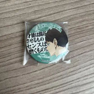 하이큐 언어의 결정전 오이카와 토오루