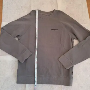 patagonia 오가닉 코튼 트레이너 XS 그레이