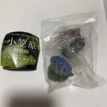네이처 테크니컬러 오가사와라 특장판 유젠