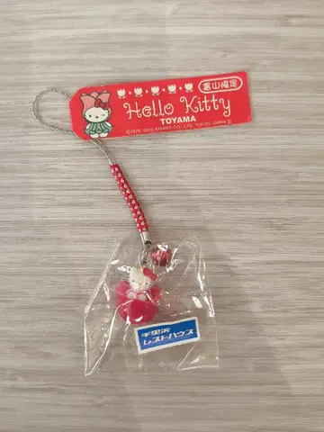 지역 한정 키티 도야마 한정 새상품 스트랩