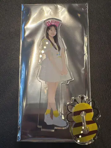 하나다 아이 AKB48 다이마루 현 이름 머리띠 랜덤 아크릴 스탠드