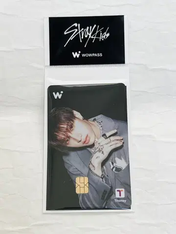 방찬 straykids WOWPASS