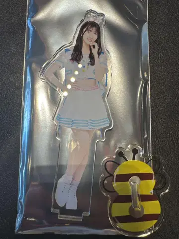 쿠도 카스미 AKB48 다이마루 현 이름 머리띠 랜덤 아크릴 스탠드
