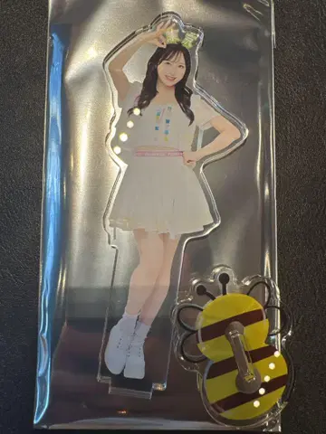 오구리 유이 AKB48 다이마루 현명 머리띠 랜덤 아크릴 스탠드
