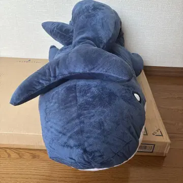 흐느적 가브샤크 BIG