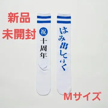 미개봉 새상품 축! 삐져나온 10년! 하이 삭스 새로운 학교의 리더들 M