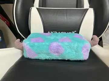 디즈니 설리 티슈 케이스
