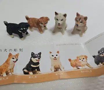 목조 조각가 하시모토 미오 개의 조각 시바견 가챠가챠
