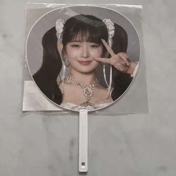 K-POP 부채 SHOW WHAT I HAVE Rei