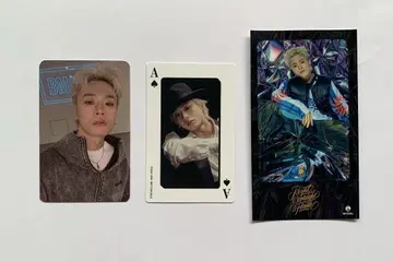 MAZZEL 택트 콜렉트북 셀카 외