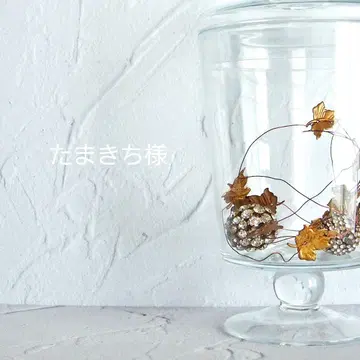 타마키치 님