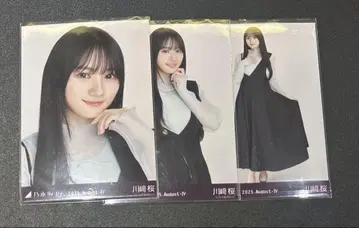 비대칭 카와사키 벚꽃 컴프