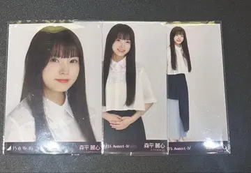 비대칭 모리히라 레이코 컴프