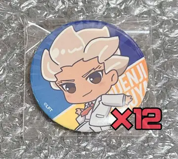 이나즈마 일레븐 앤드 갤러리 캔뱃지 고엔지 x 12