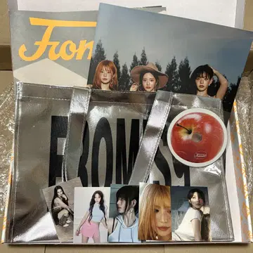 fromis_9 ZINE ver. 개봉 트레이딩 카드 제외