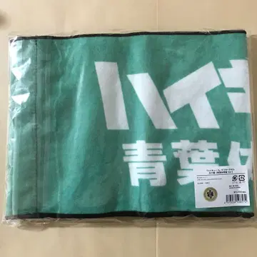 하이큐 오이카와