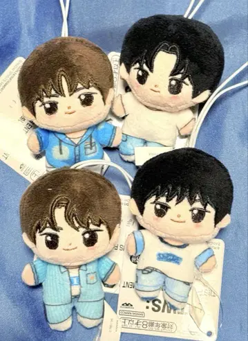 TWS  4종 세트