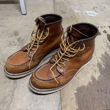 Redwing 아이리쉬 세터 875 현행 모델