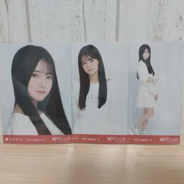 맨투맨 세토구치 미즈키 컴프