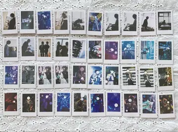 이레귤러 다이스 실사 폴라로이드 40장 묶음 판매