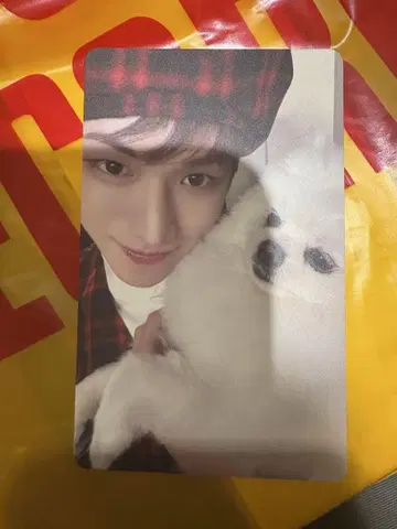 리우 BOYNEXTDOOR BOYLIFE 타워레코드 럭키드로우