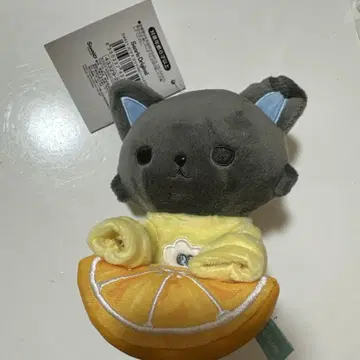 JOCHUM 제오참 피하이 후르츠 마스코트