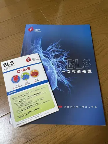 BLS 일차 심폐소생술 프로바이더 매뉴얼