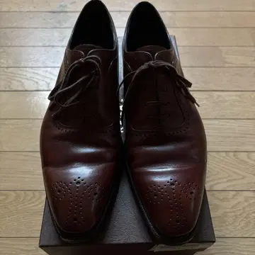 셰틀랜드 폭스 UK8 DBR (빨간색)