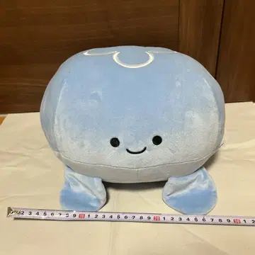 신에노시마 수족관 에노스이 해파리 봉제 인형 복권 2등