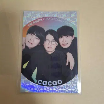 요시모토 콜레카 cacoa 딱 붙는 카드