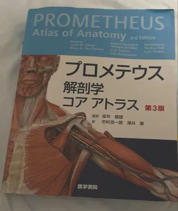 프로메테우스 해부학 코어 아틀라스 제3판