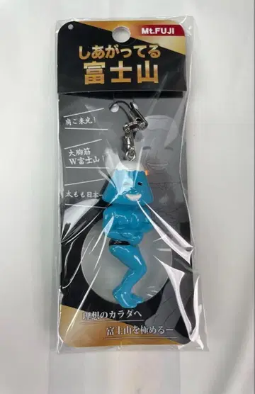 고토치 후지산 시리즈 시아갓테루 후지산 스트랩 캐릭터 키링