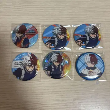 히로아카 토도로키 쇼토 캔뱃지 6세트