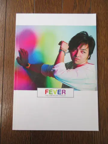 팜플렛 미우라 다이치 2015 FEVER 피버