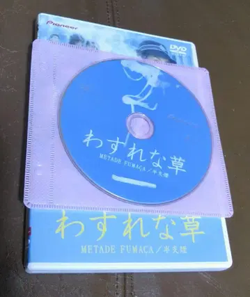 DVD 물망초/니콜라스 셰 에릭 쩡 서기