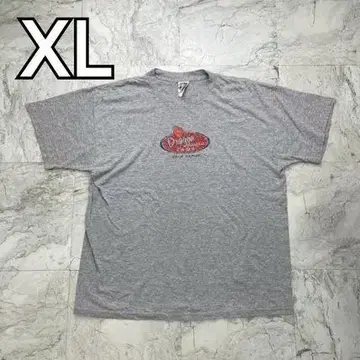 프룻 오브 더 룸 T셔츠 남성용 XL 그레이 농구 반팔