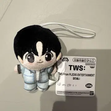 미사용 새상품 TWS 홰아누이 한진