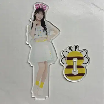 AKB48 다이마루 의상전 랜덤 아크릴 스탠드 나가토모 아야미