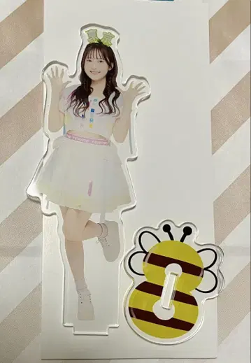 AKB48 스즈키 쿠루미 의상전 랜덤 아크릴 스탠드 다이마루 도쿄