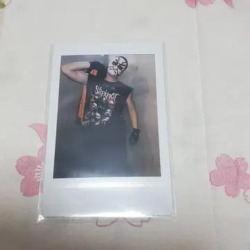 O-MENZ 쿠마도리 폴라로이드