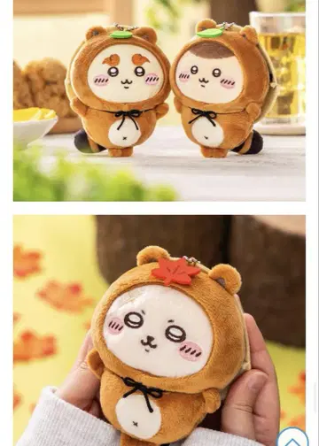 치이카와 너구리다 복권 C상 시사 밤만쥬 랏코