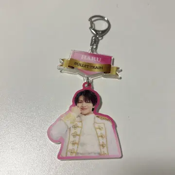 초특급 하루 아크릴 키링