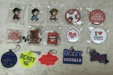 BERRY GOODMAN 투어 굿즈 베리폰 모듬