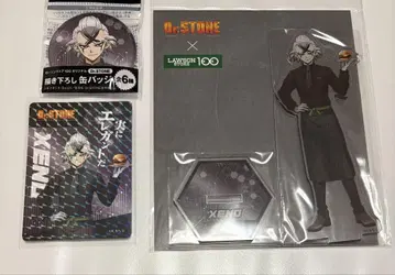 Dr.STONE 닥터 스톤 제노 아크릴 스탠드 캔뱃지 로손100