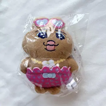 빤쮸토끼 시마무라 일광화상 갸루 봉제 인형 참 마스코트