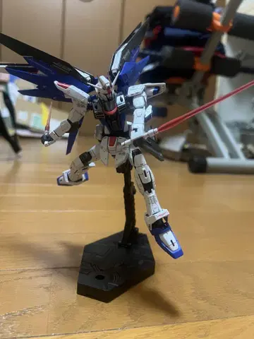 RG 프리덤 건담