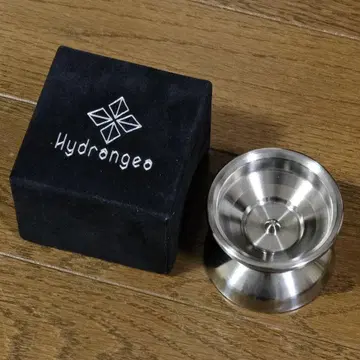 Hydrangea 하이드란지아 베르베리스