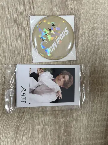 RAYS 캔뱃지와 멤버 사진 세트